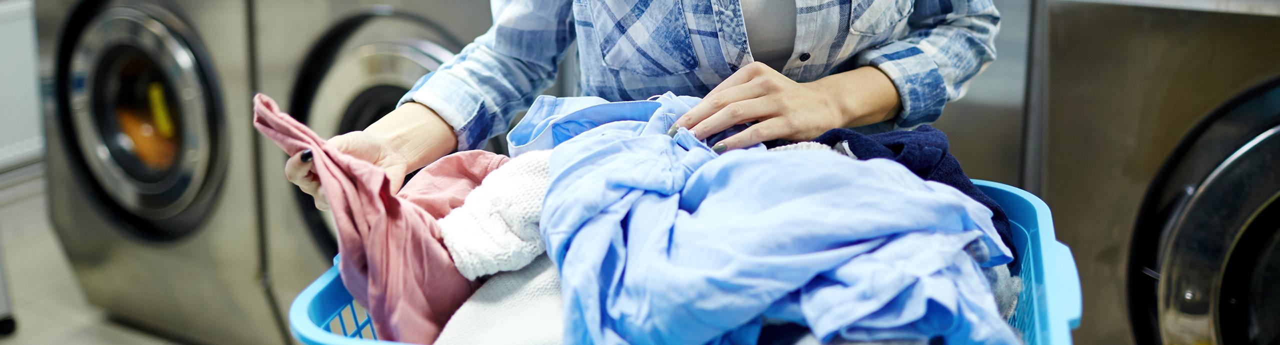 Dry Pak Kuru Temizleme Halı Koltuk Ve Perde Yıkama